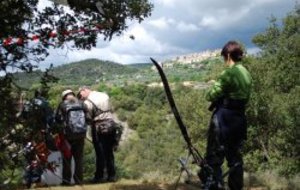 Nouvelles photos du 13 mai