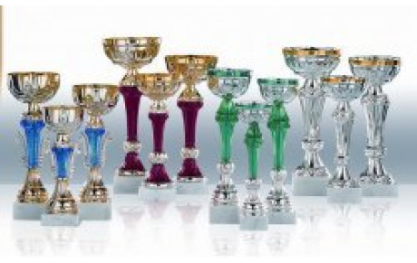 Concours de l'ARGENTIERE 2X18M