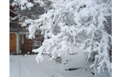 terrain d'entrainement