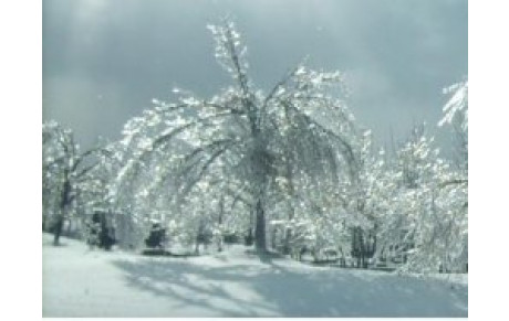 Entrainement annulé.