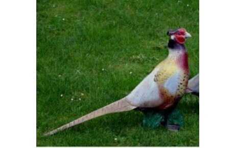 12 Jeunes au 3D de Digne les bains