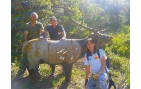 3D de Lourmarin (Puget sur Durance)