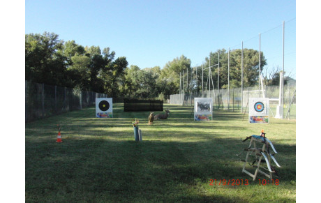 Fête départementale des sports suite